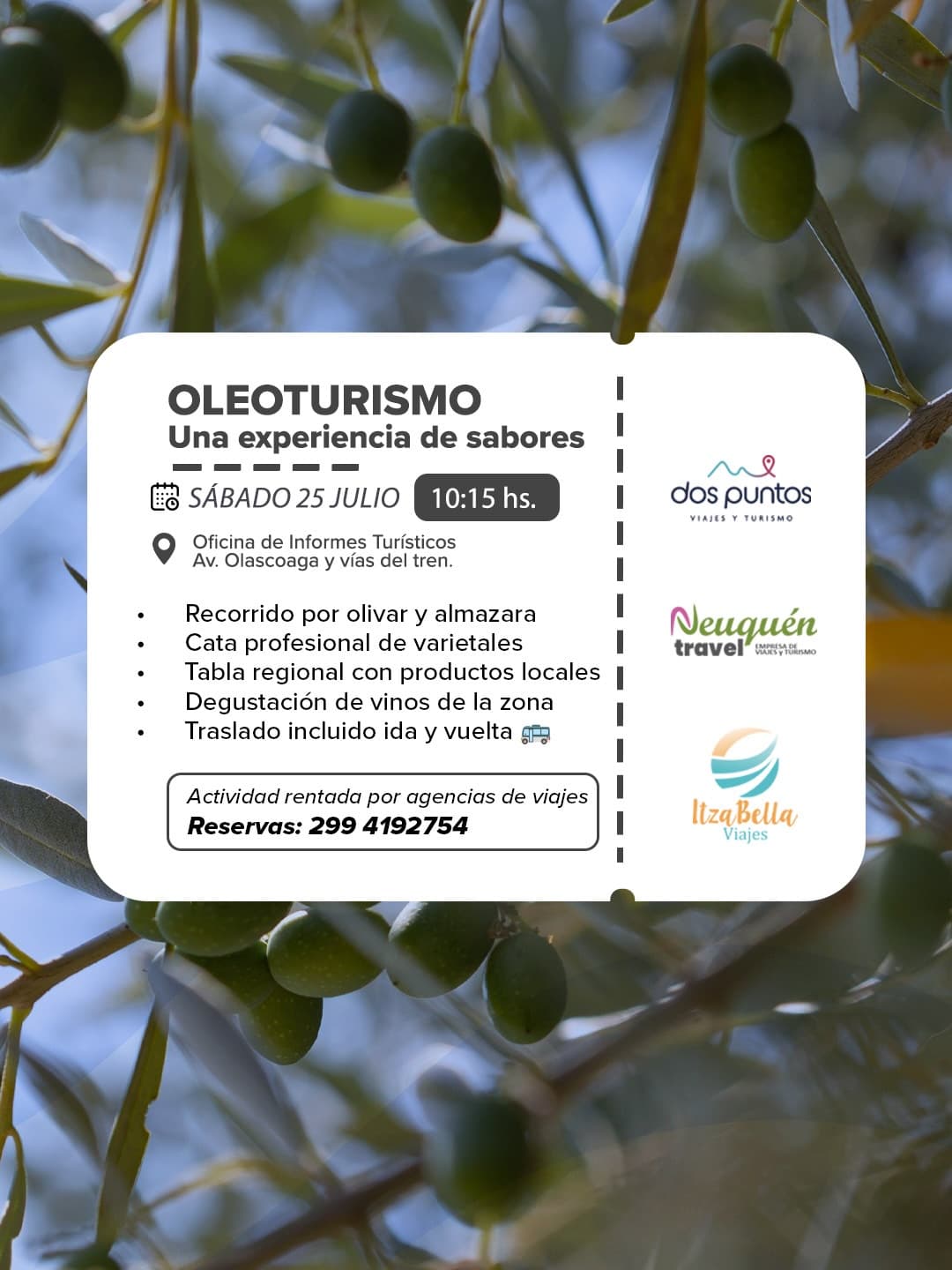 Oleoturismo, una experiencia de sabores